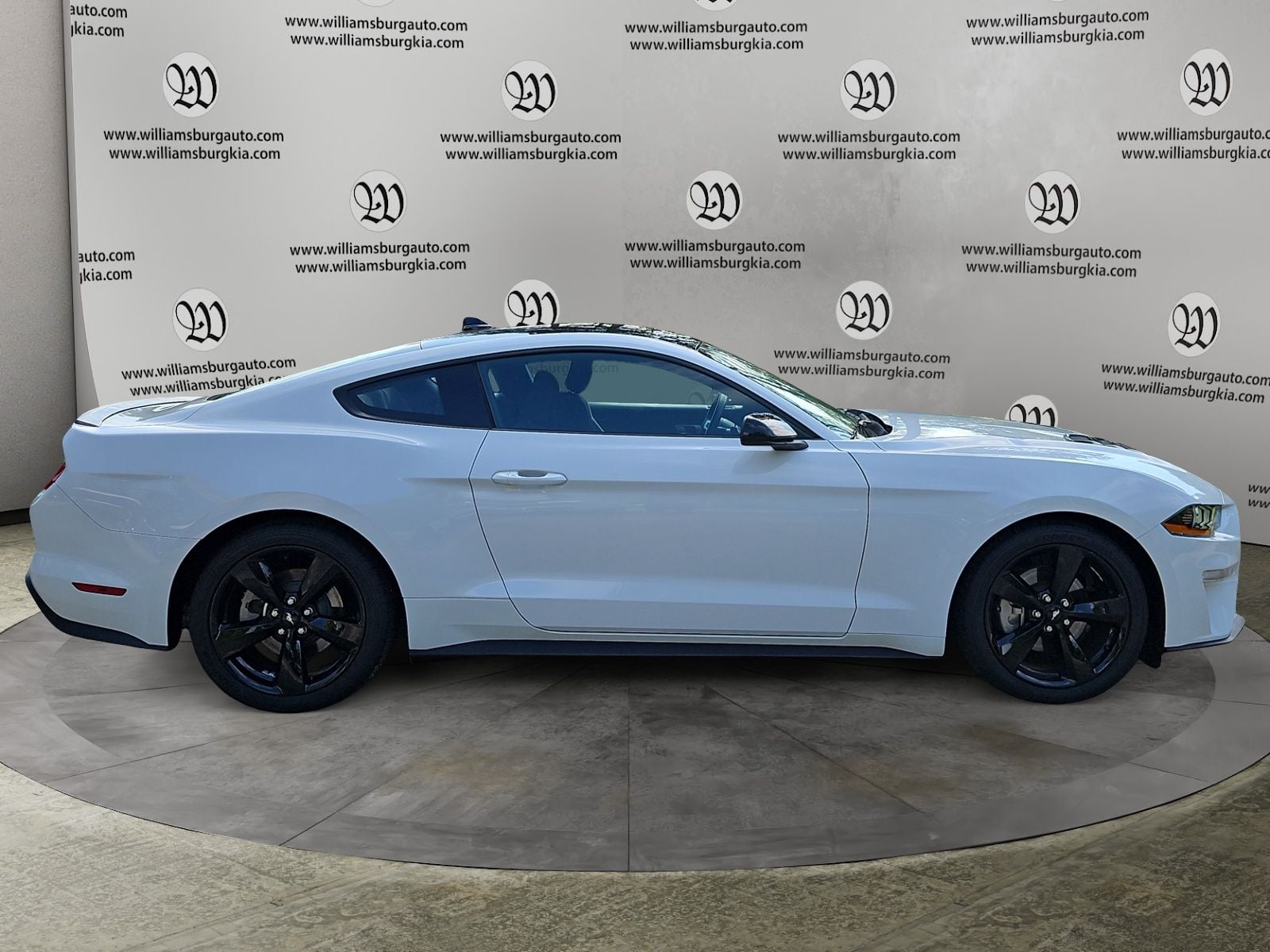 2023 Ford Mustang EcoBoost Photo in Williamsburg VA 23185