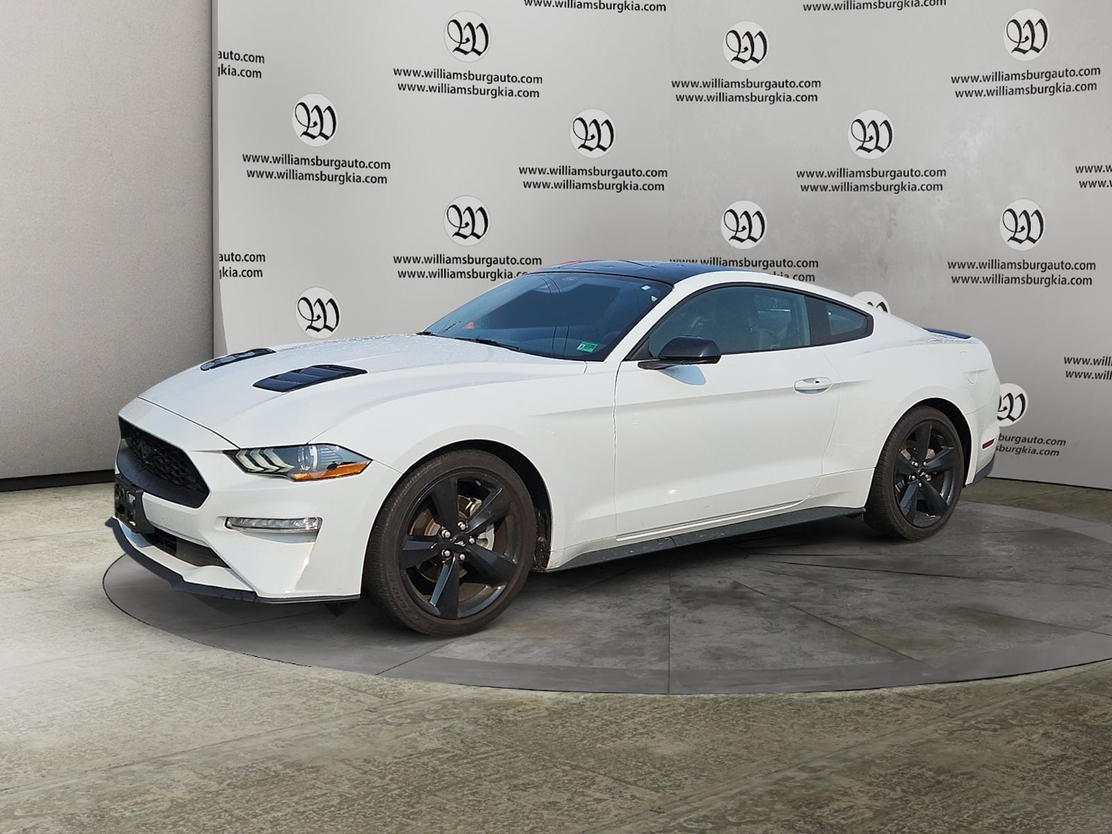 2023 Ford Mustang EcoBoost Photo in Williamsburg VA 23185