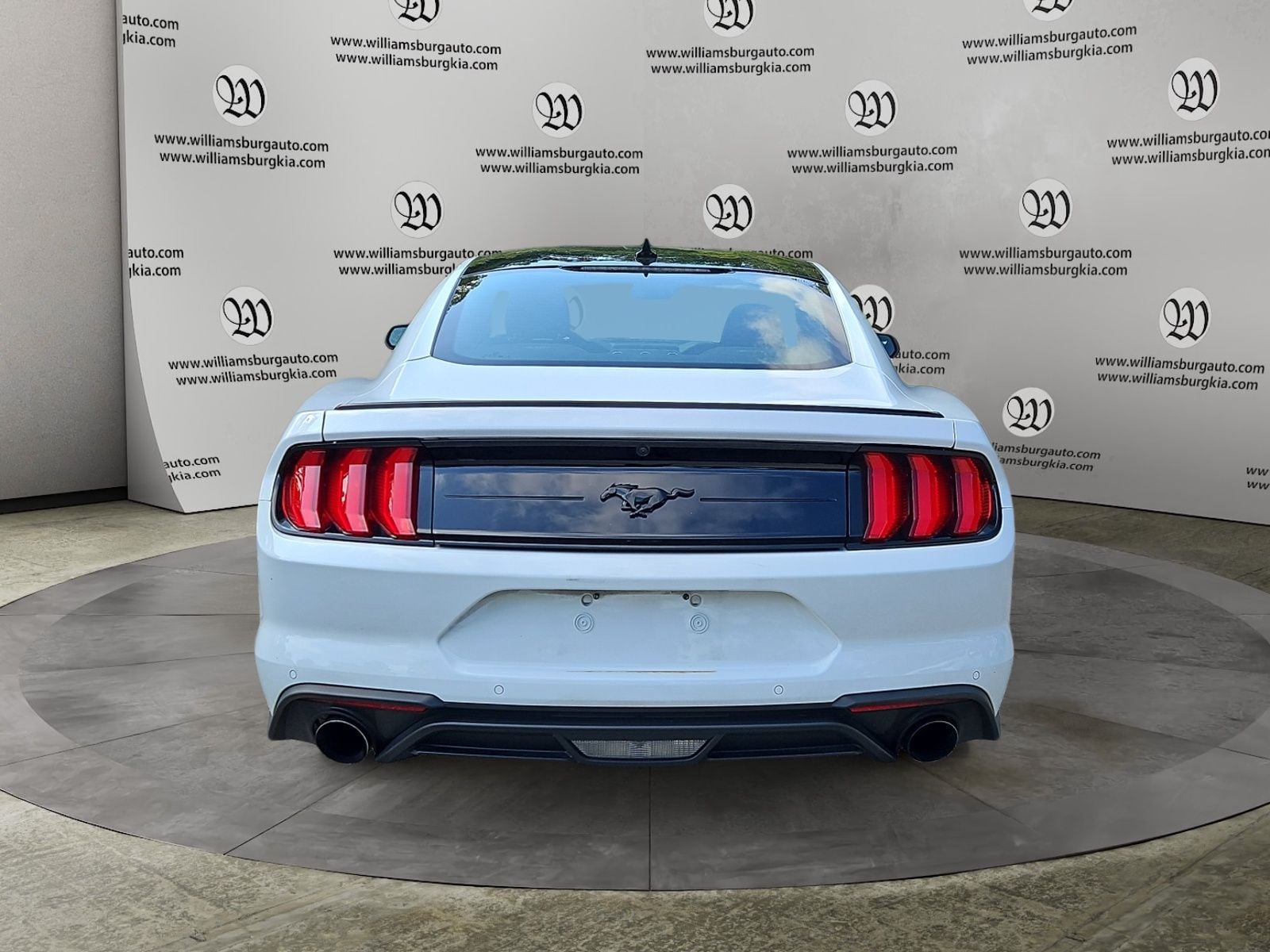 2023 Ford Mustang EcoBoost Photo in Williamsburg VA 23185